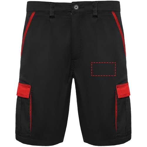 Tahoe Arbeitsshorts, 250 g/m2