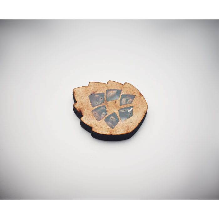 GROWTREE™ - Kiefernsamen-Set