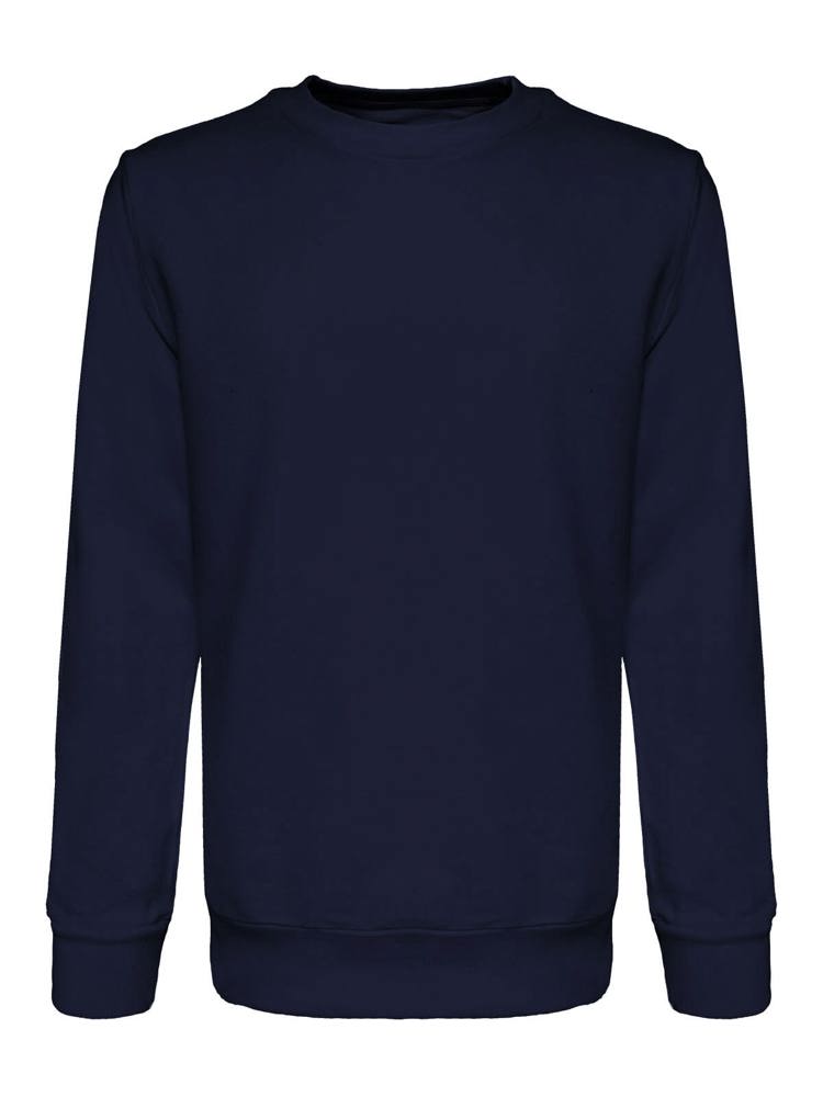 Navy (PMS 5395C)