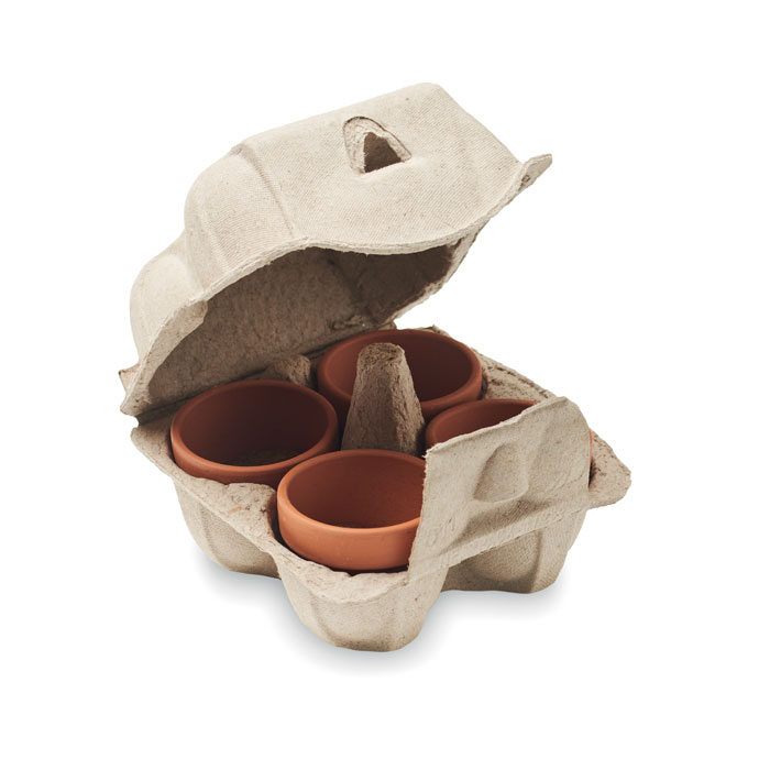 CRESS - Saat-Set Kresse