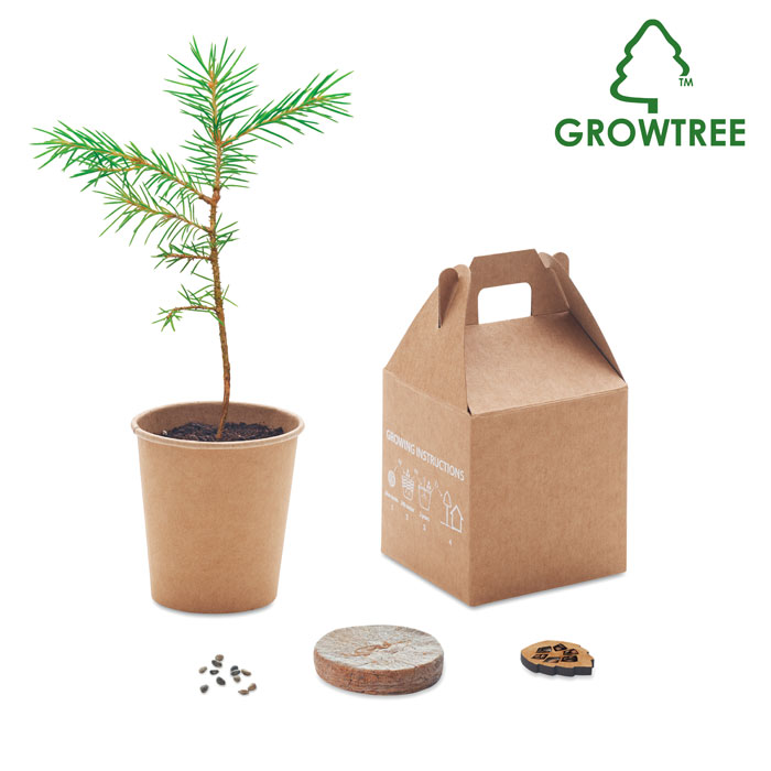 GROWTREE™ - Kiefernsamen-Set