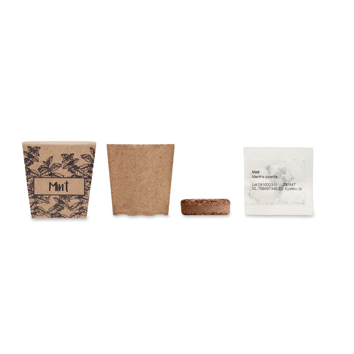 MINT KIT - Pflanz-Set Minze